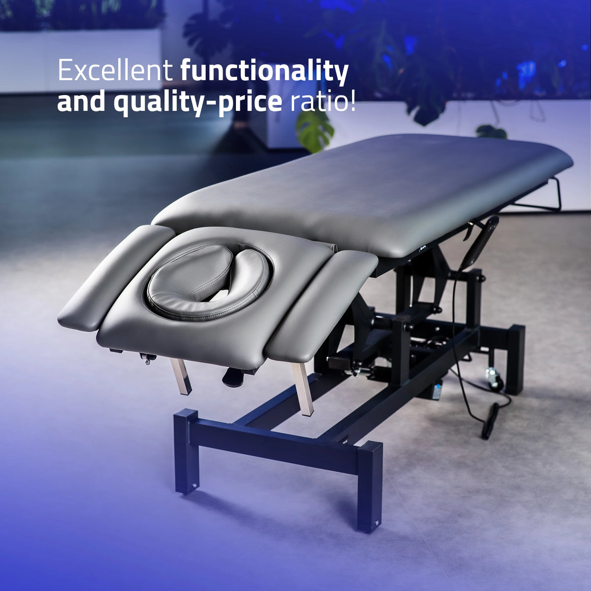 Table de massage fixe Fortis 4 ERGO Gris